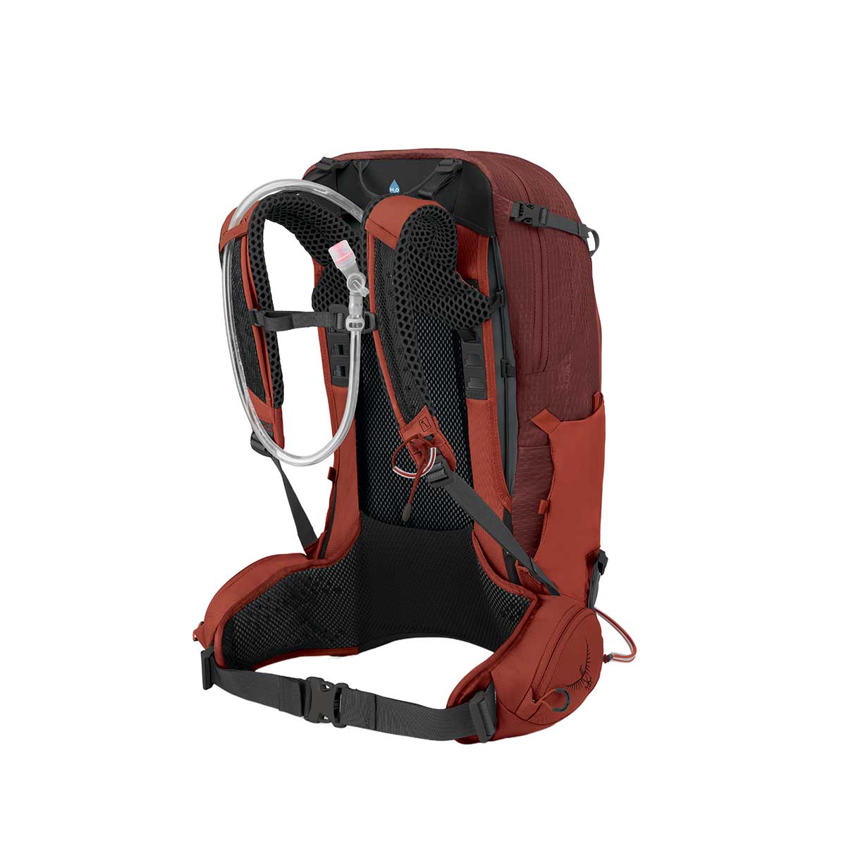 Osprey Manta 24 Backpack with Reservoir in Oak Leaf Orange